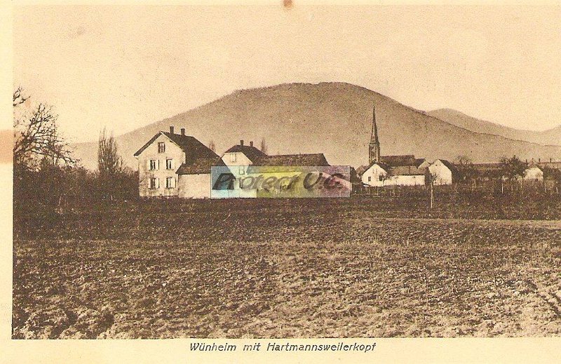 Cartes